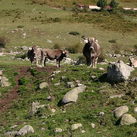 Lo Foraton エチョ